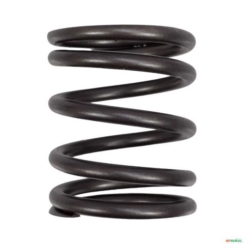 MOLA DE VÁLVULA EXTERNA PERK 4236/4248 530040501 3038751 Imagem MOLA DE VÁLVULA EXTERNA PERK 4236/4248 530040501 3038751