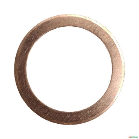 ARRUELA 011.07.3352 3039469 Imagem ARRUELA 011.07.3352 3039469