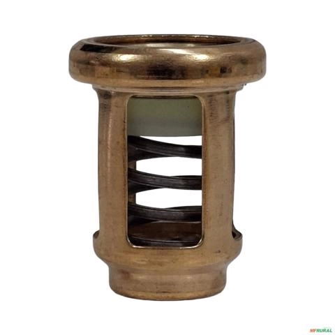 VÁLVULA DE AÇO DO FILTRO MOTOR FPT NEF 4.5L 4CIL E 5.9L 6CIL 4896410 3040443 Imagem VÁLVULA DE AÇO DO FILTRO MOTOR FPT NEF 4.5L 4CIL E 5.9L 6CIL 4896410 3040443