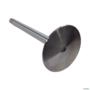 VÁLVULA DE ADMISSÃO PERKINS 4.236, Q20B 1PK 3008184 3040838 Imagem VÁLVULA DE ADMISSÃO PERKINS 4.236, Q20B 1PK 3008184 3040838