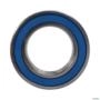 ROLAMENTO RIGIDO DE ESFERAS 6009DDU 3041189 Imagem ROLAMENTO RIGIDO DE ESFERAS 6009DDU 3041189