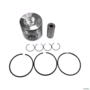 PISTAO E ANÉIS MOTOR IVECO/FPT 104MM NEW HOL. TL90/TL85E/TL95E 1930919 3041799 Imagem PISTAO E ANÉIS MOTOR IVECO/FPT 104MM NEW HOL. TL90/TL85E/TL95E 1930919 3041799