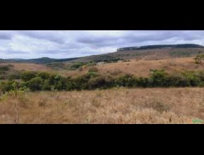 VENDO FAZENDA  112 HECTARES - RITAPOLIS (MG)