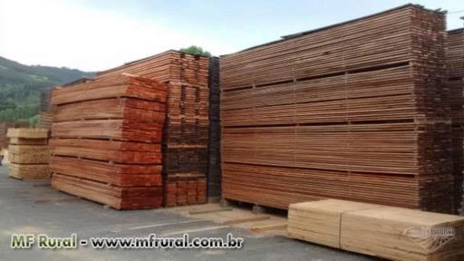 PROMOÇÃO PINUS E VIGAMENTOS DE EUCALIPTOS E OUTROS TABUAS DE 30 CM 425,00 RETIRA