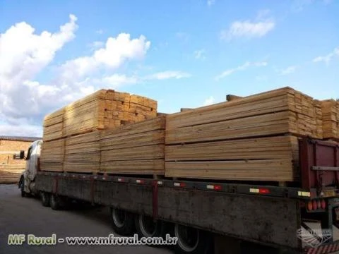 Compro madeiras serradas de pinus e Eucalipto Urgente