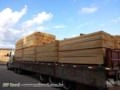 Madeiras Serradas de Pinus e Eucalipto Imagem Madeiras Serradas de Pinus e Eucalipto