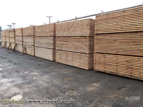 Madeiras Serradas de Pinus e Eucalipto Imagem Madeiras Serradas de Pinus e Eucalipto