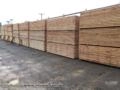 Madeiras Serradas de Pinus e Eucalipto Imagem Madeiras Serradas de Pinus e Eucalipto