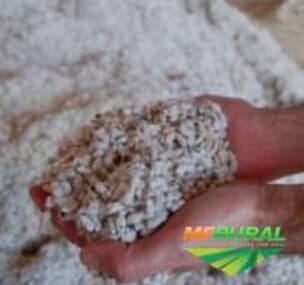 Depoimento de anúncio vendido Depoimento de anúncio vendido