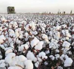 Depoimento de anúncio vendido Depoimento de anúncio vendido