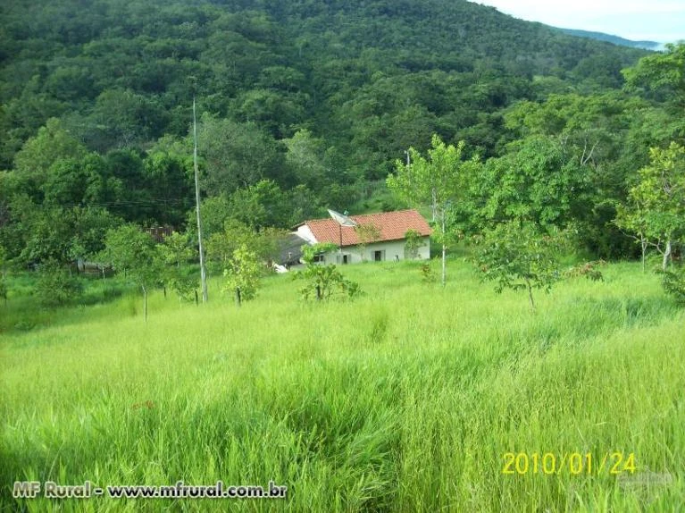 Fazenda em Pirenópolis Goiás com 91 ha.