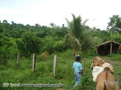 Fazenda em Tucumã-PA com 600ha