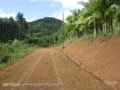 Terreno rural em Tijucas - SC com 24 hectares