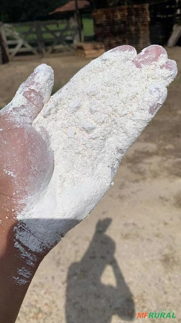 Adjuvante Adesivo em Pó Natural Imagem Adjuvante Adesivo em Pó Natural