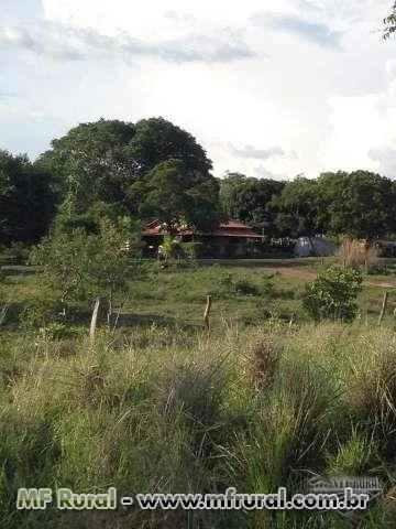 Fazenda Novo Horizonte no Município de Conceição do Tocantins