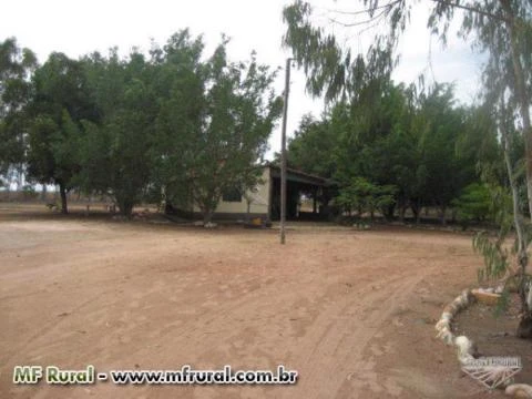 Vendo fazenda em Bom Jesus-PI/Serra do Quilombo