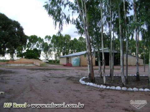 Vendo fazenda em Bom Jesus-PI/Serra do Quilombo