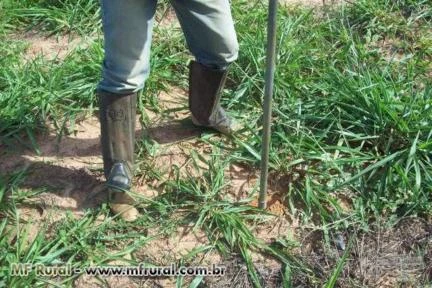 FAZENDA EM JANUÁRIA/MG