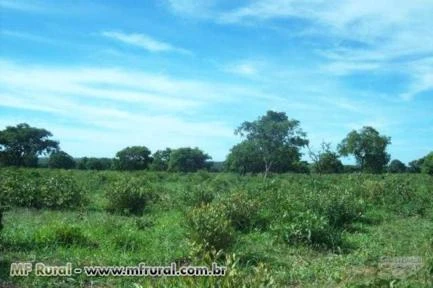 FAZENDA EM JANUÁRIA/MG