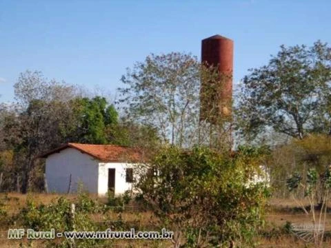 FAZENDA NO JAÍBA/MG