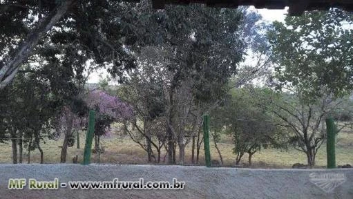 ÓTIMA FAZENDA (COMPLETA, BEM FORMADA E ESTRUTURADA) PARA GADO EM MIRANORTE-TO