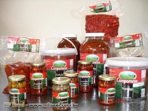 Tomate Seco e Desidratado Imagem Tomate Seco e Desidratado