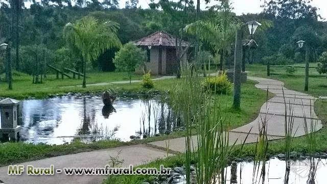 Vendo ou arrendo ou aceito sócio investidor