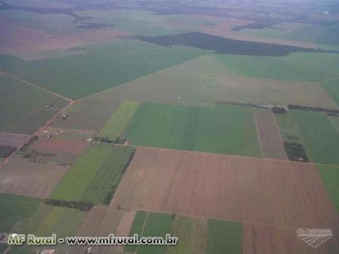 Fazenda em São José do Xingu - MT com 9000 ha.