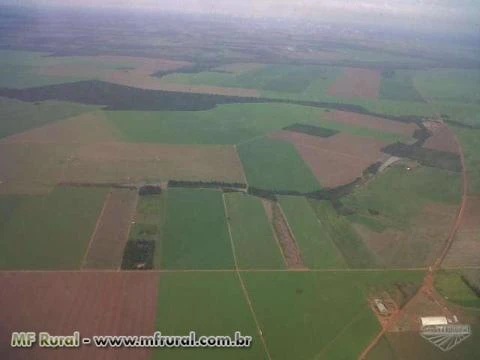 Fazenda em São José do Xingu - MT com 9000 ha.