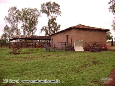Fazenda em Buritizeiro MG