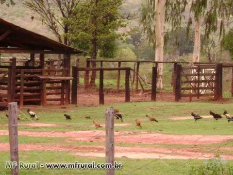 Fazenda em Buritizeiro MG