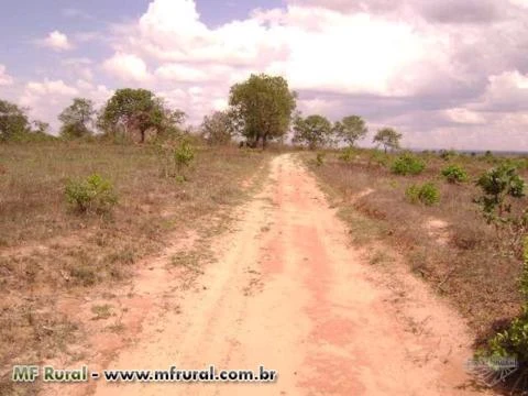 Fazenda em Buritizeiro MG