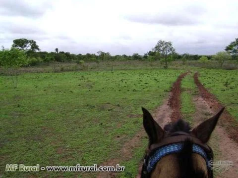 Fazenda em Buritizeiro MG