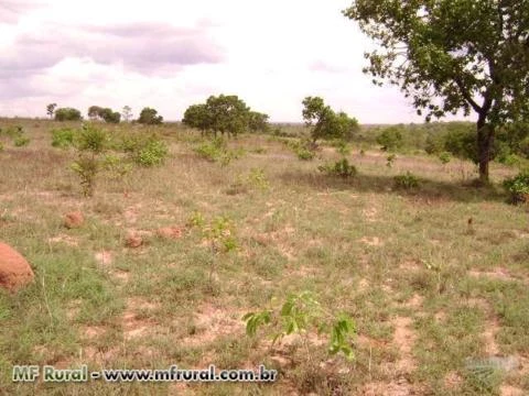 Fazenda em Buritizeiro MG