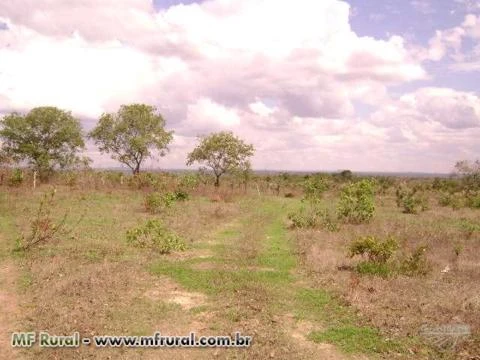 Fazenda em Buritizeiro MG