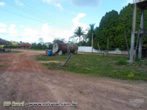 Fazenda em Santa Luzia Maranhão   Ma