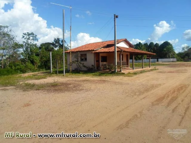 Fazenda em Santa Luzia Maranhão   Ma