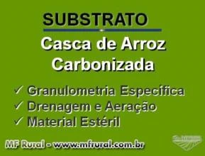 Casca de Arroz Carbonizada (CAC)