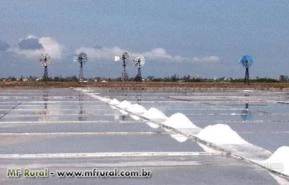 SAL MARINHO PURO E GROSSO, DIRETO DAS SALINAS PARA AGRICULTURA, INDÚSTRIAS