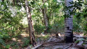 Área Para Reposição de Reserva Bioma Cerrado