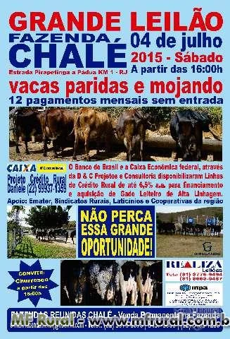 Leilão Fazenda Chalé 04 de julho 2015