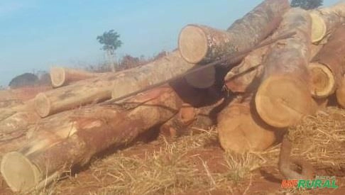 Imagem Madeira Serrada Imagem Madeira Serrada