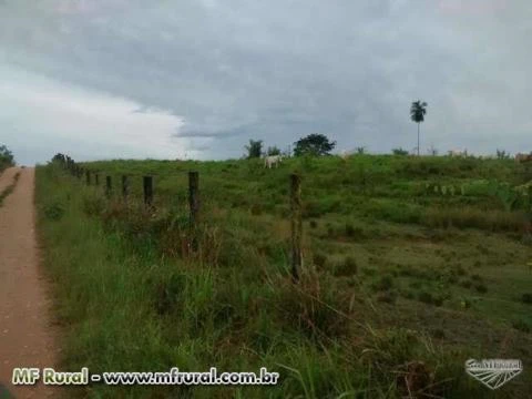 Fazenda excelente no Sul do Pará, entre Xinguara e Rio Maria