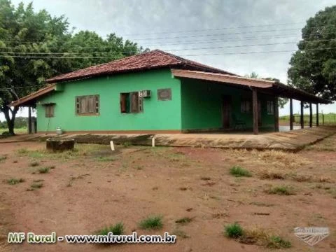 Fazenda excelente no Sul do Pará, entre Xinguara e Rio Maria