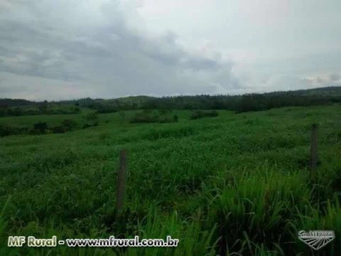 Fazenda excelente no Sul do Pará, entre Xinguara e Rio Maria