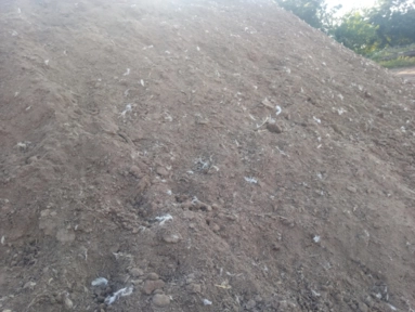 Esterco de frango de ótima qualidade. Imagem Esterco de frango de ótima qualidade.