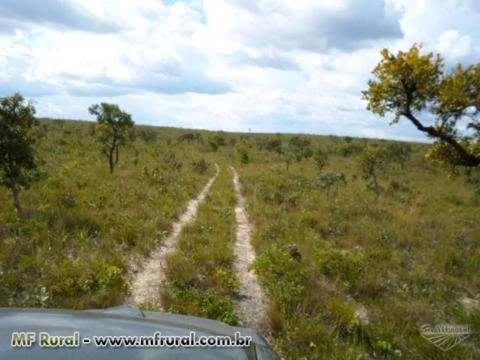 FAZENDA COM 18.150 ha ou 3750 ALQUEIRÕES - RIO DA CONCEIÇÃO-TO