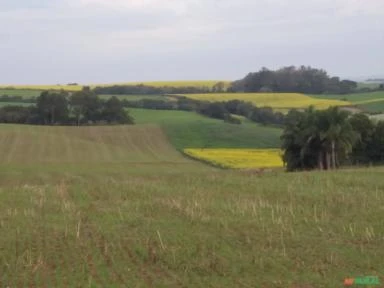 Procuramos investidores para compra de terras agricola no Rio Grande Do Sul