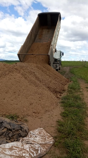 Cama de Frango Classe A – Adubo Orgânico de Alta Qualidade Imagem Cama de Frango Classe A – Adubo Orgânico de Alta Qualidade