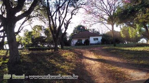 Fazenda na região de Marília - Pirajuí